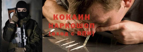 дмт Абаза