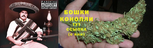 дмт Абаза
